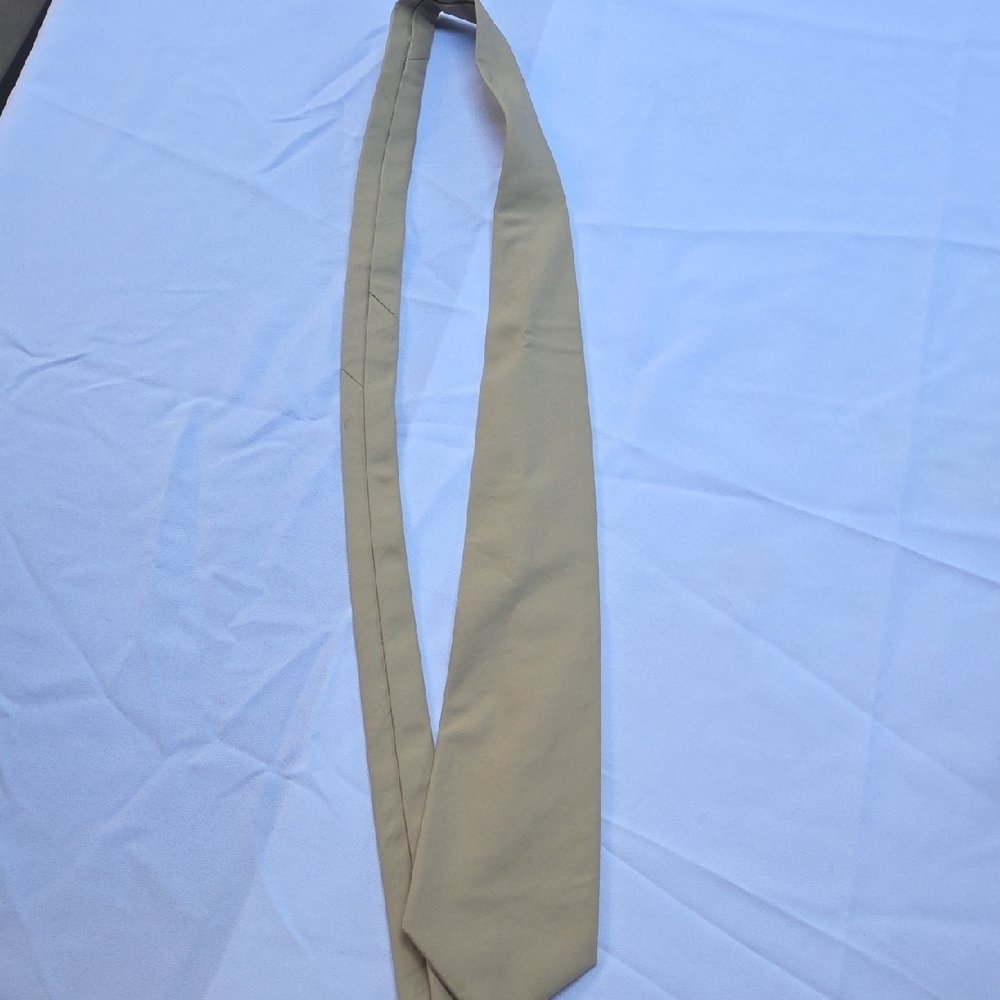 J. Crew Classic Tan Tie